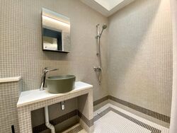 Havelock Road (D3), Apartment #453640591